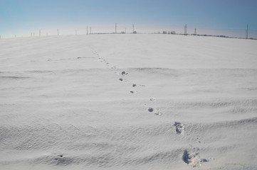 footprints in the snow and blue sky