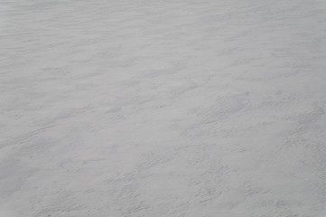 Background from firm snow in steppe.14
