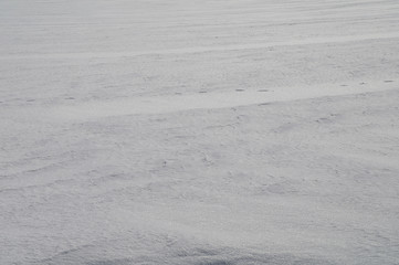 Fototapeta na wymiar Background from firm snow in steppe.16