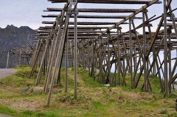 Reine is a fishing village and the administrative center of the municipality of Moskenes in Nordland country, Norway.