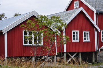 Reine is a fishing village and the administrative center of the municipality of Moskenes in Nordland country, Norway.