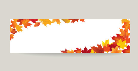 Naklejka na ściany i meble Fall leaf nature banner. Autumn leaves background. Season floral border