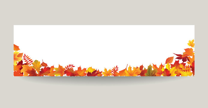 Fall leaf nature banner. Autumn leaves background. Season floral border