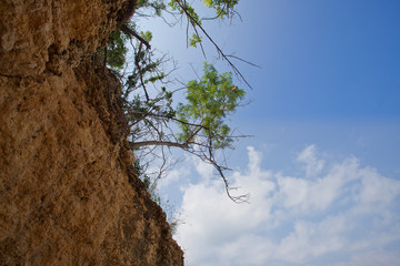 Anguilla Beaches and More