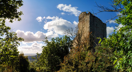 Fototapeta na wymiar Old medieval fortress ruins of Chateau de Ramstein in deep fores