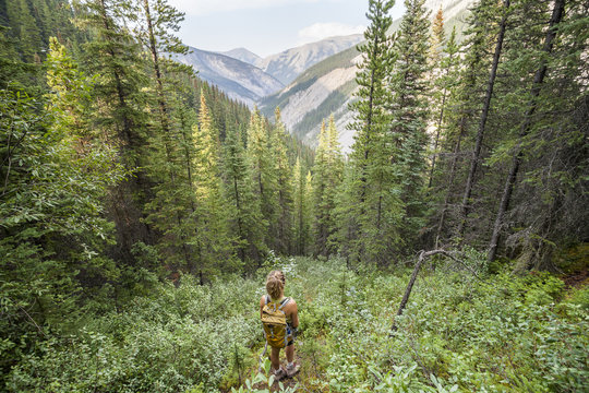 A young woman looks out from the forest while hiking the Utopia Pass Trail, Miette Hot Springs, Jasper National Park, Alberta, Canada.