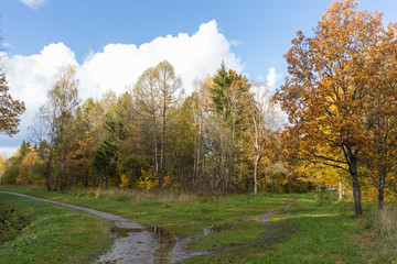 sunny weather after rain in the park Old park in the town of Pushkin, Russia autumn