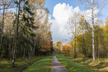 Autumn in the Park Old park in the town of Pushkin, Russia autumn