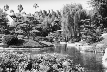 Japanese Style Garden with Pond #2