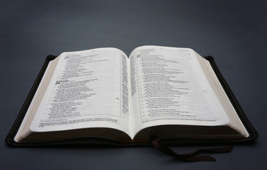 An Opened Bible on a Dark Chalkboard Surface