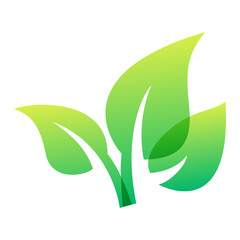Leaf icon vector illustration.