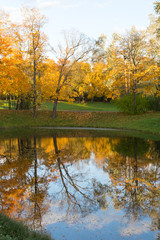 upright autumn landscape with water in Alexander Park - Russia, city of Pushkin