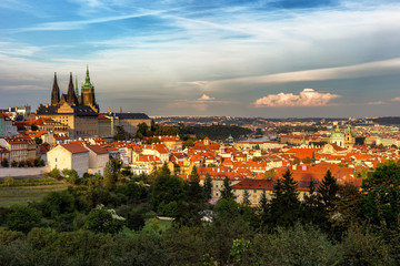 Fototapeta na wymiar Prague, Czech Republic skyline panorama. St. Vitus Cathedral over old town red roofs