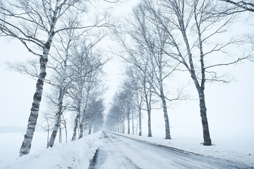 Naklejka premium 冬道