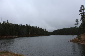 Fototapeta na wymiar Overcast day on the lake
