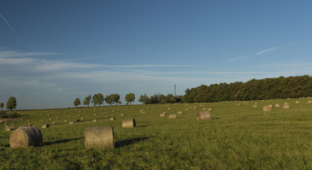 Nice autumn day with sunshine