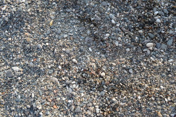 A pebbly beach