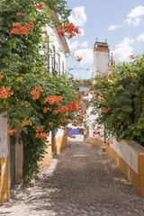 Fototapeta na wymiar Street with flowers in Obidos, a medieval town in Portugal