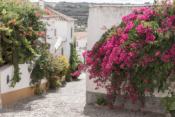 Street with flowers in Obidos, a medieval town in Portugal