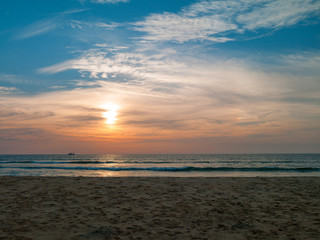 beach with palm trees