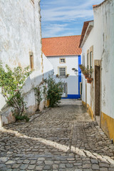 Fototapeta na wymiar village of obidos portugal