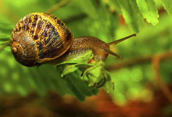 Balance is everything