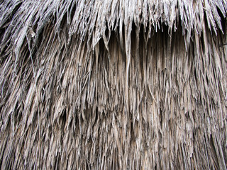 Thatched Roof Background