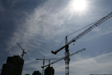 Construction site with tower cranes