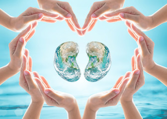 World Kidney Day design logo concept idea: Love heart shape symbolic sign of women human hands on...