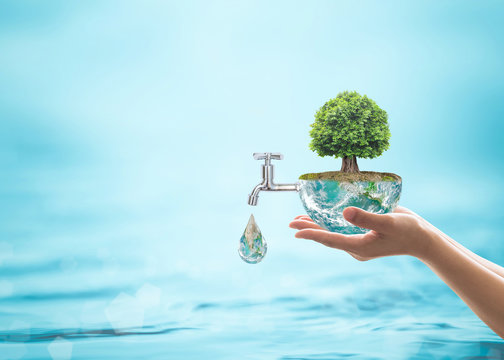 Forest big rain tree arbor planting on blue aqua world on women's human hand: Water drop running from faucet tap: Saving aqua reforestation conceptual csr esg idea: Element of image furnished by NASA