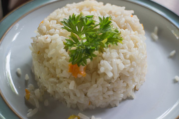 rice on plate