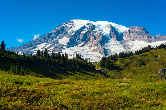Summit of Mount Rainier above high meadows
