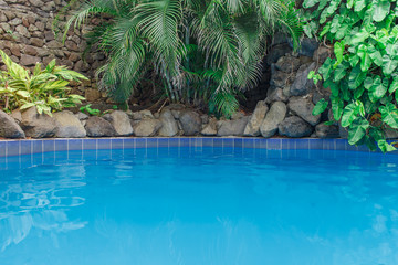 pool with plants, outdoor photography