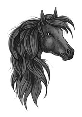 Naklejka na ściany i meble Sketch of black purebred horse head