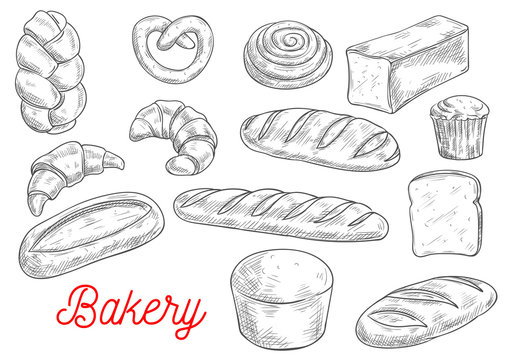 Sketched wheat bread and sweet buns