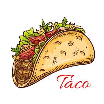Mexican beef taco with fresh vegetables sketch