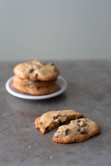 Chocolate chip cookies on a gray background. 