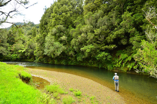 Awakino River North Island New Zealand Trout Fising
