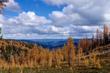 Yellow trees, mountains and clouds in autumn. Frosty Mountain. Manning Provincial Park. Hope. British Columbia. Canada. 