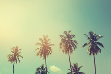 Fototapeta na wymiar Palm trees at tropical coast, vintage toned and film stylized