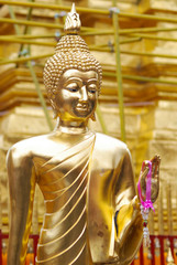 Buddha statue