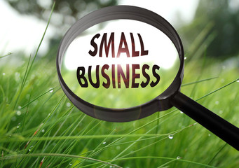 small business