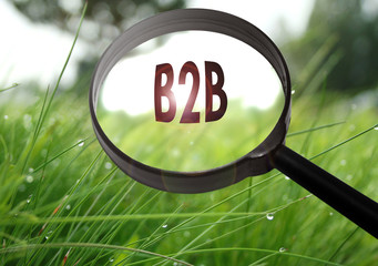 b2b (business to business)