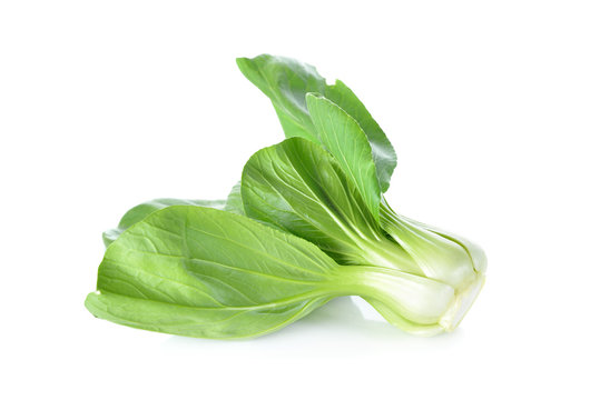 Chinese cabbage or bok choy on white background