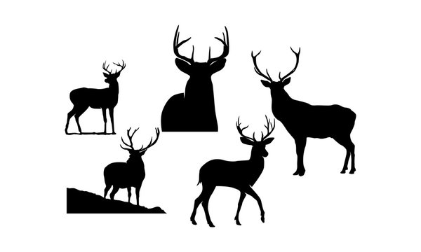 Deer Silhouette Set