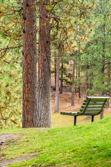 A bench with gorgeous view at mountain lake, British Columbia, Canada.