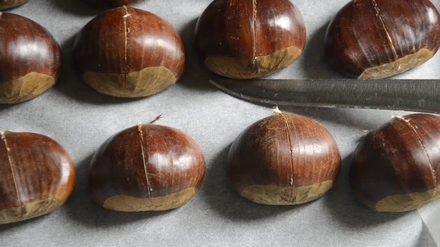Caldarroste Roasted chestnuts жареные каштаны Caldarrosta печени костени Casta&ntilde;as asadas Prażone kasztany 烤栗子 Marroni Castane prăjite