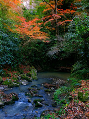 かじか橋の公園(千葉県)