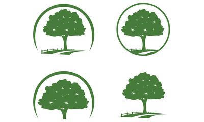 oak, tree, leaf vol.3 logo design 

