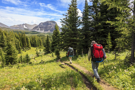 Two back packers hike the Citadel Pass trail from Sunshine Meadows along the Great Divide in Banff National Park, Alberta, Canada. Model Released